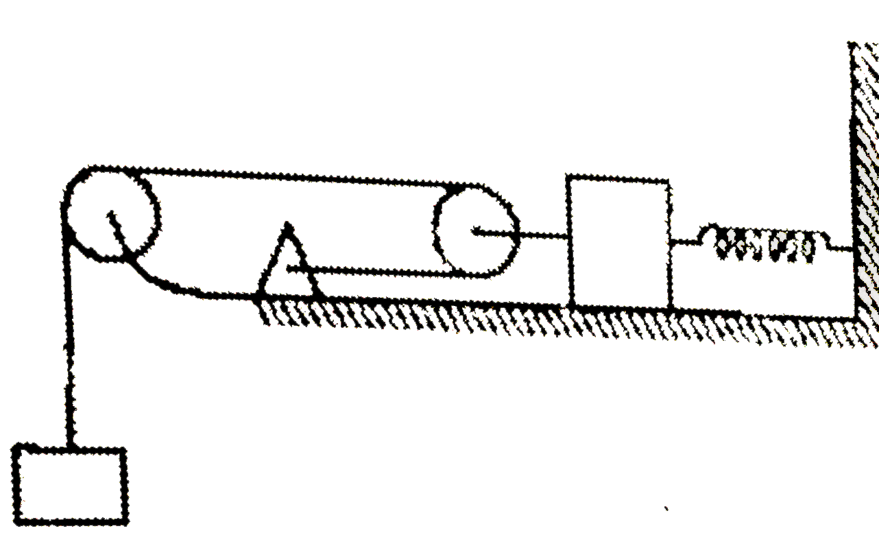 In the shown figure, the spring and string is ideal. The spring the stiffness of 100 N//m and m = 1 kg friction exists between mass 2m and surface with coefficient mu = 0.8. The system is released with spring from its relaxed position. Based on above data, answer the following question: (take g = 10 m//s^(2))      Magnitude of work done by gravity during the motion of system is :