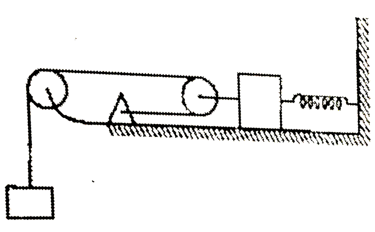 In the shown figure, the spring and string is ideal. The spring the stiffness of 100 N//m and m = 1 kg friction exists between mass 2m and surface with coefficient mu = 0.8. The system is released with spring from its relaxed position. Based on above data, answer the following question: (take g = 10 m//s^(2))      After what displacement of mass 2m, its velocity becomes maximum ?