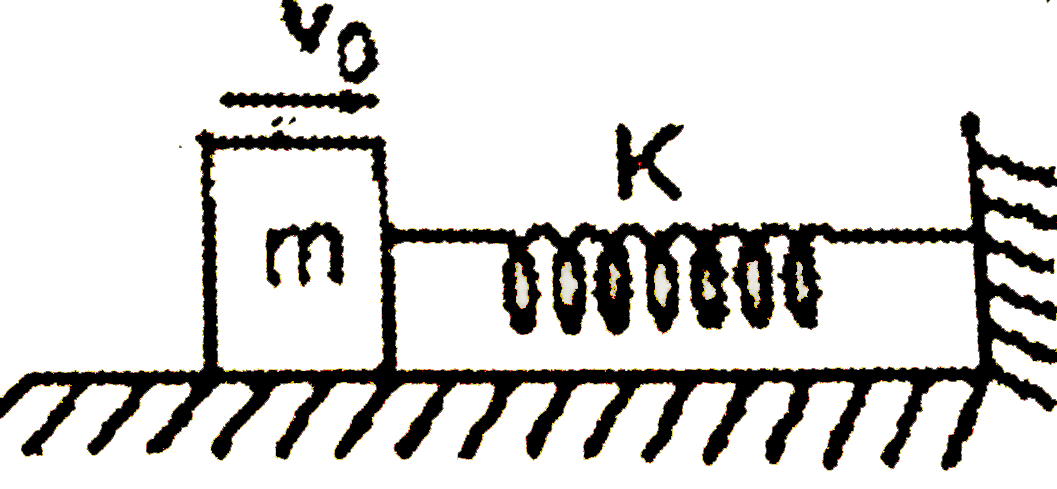 A block of mass m moving with a velocity v(0) on a smooth horizontal surface strikes and compresses a spring ofstiffuess k till mass coines to rest as shown in the figure. This phenomenon is observed by two observers :   (a) Standing on the horizontal surface   (b) standing on the block      Accoording to the observer A :