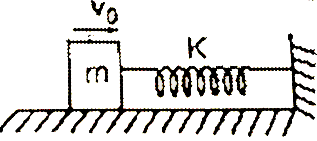 A block of mass m moving with a velocity v(0) on a smooth horizontal surface strikes and compresses a spring ofstiffuess k till mass coines to rest as shown in the figure. This phenomenon is observed by two observers :   (a) Standing on the horizontal surface   (b) standing on the block      To an observer B, when the block is compressing the spring :