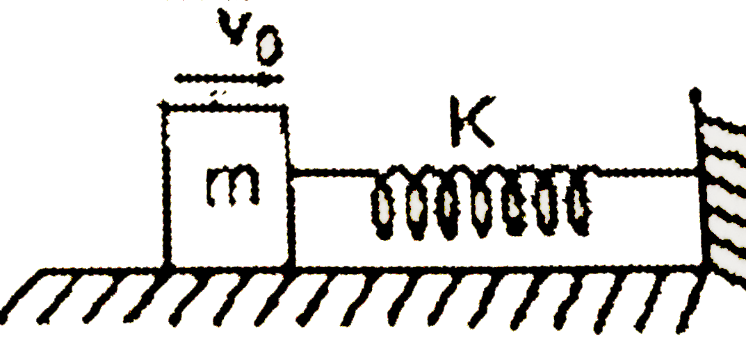 A block of mass m moving with a velocity v(0) on a smooth horizontal surface strikes and compresses a spring ofstiffuess k till mass coines to rest as shown in the figure. This phenomenon is observed by two observers :   (a) Standing on the horizontal surface   (b) standing on the block       According to observer B, the potential energy of the spring increases :