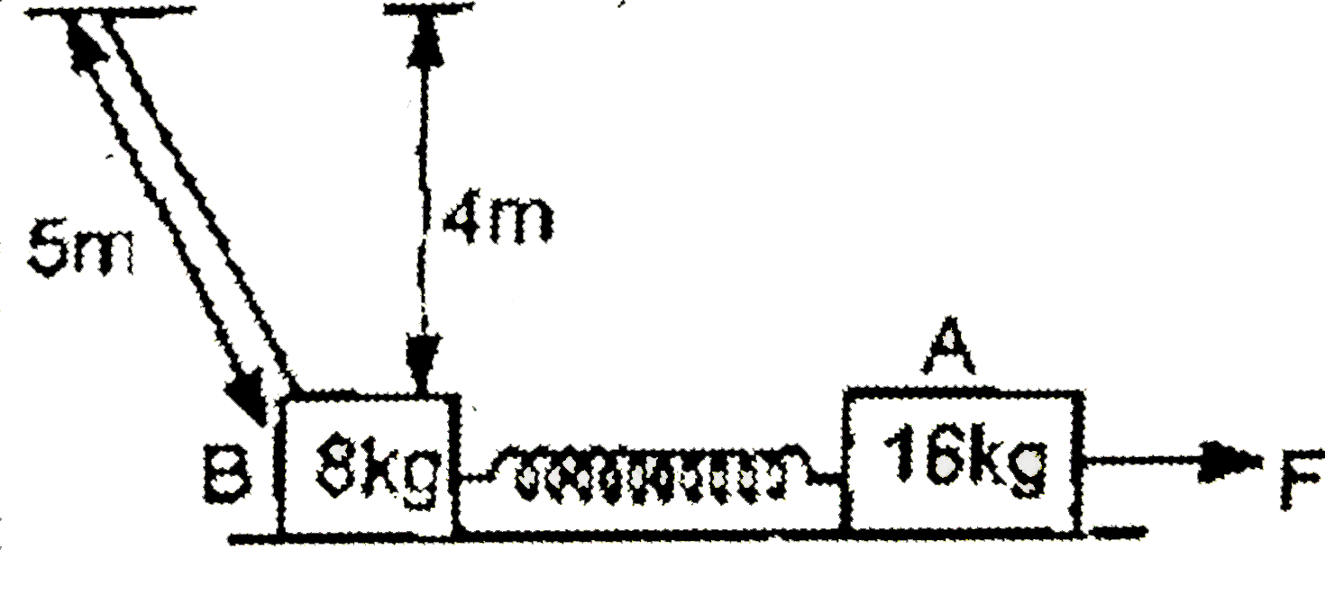 Two blocks having masses  8 kg and 16 kg are connected to the two ends of a light spring. The system is placed on a smooth horizontal floor. An inextensible starting also connects B with ceiling as shown in figure at the initial moment. Initially the spring has its natural length. A constant horizontal force F is applied to the heavier block as shown. What is the maximum possible value of F so the lighter block doesn't loose contant with ground