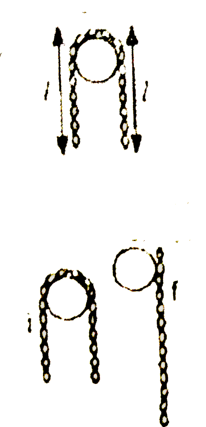 If chain starts slipping find its KE when chain becomes completely straingt.