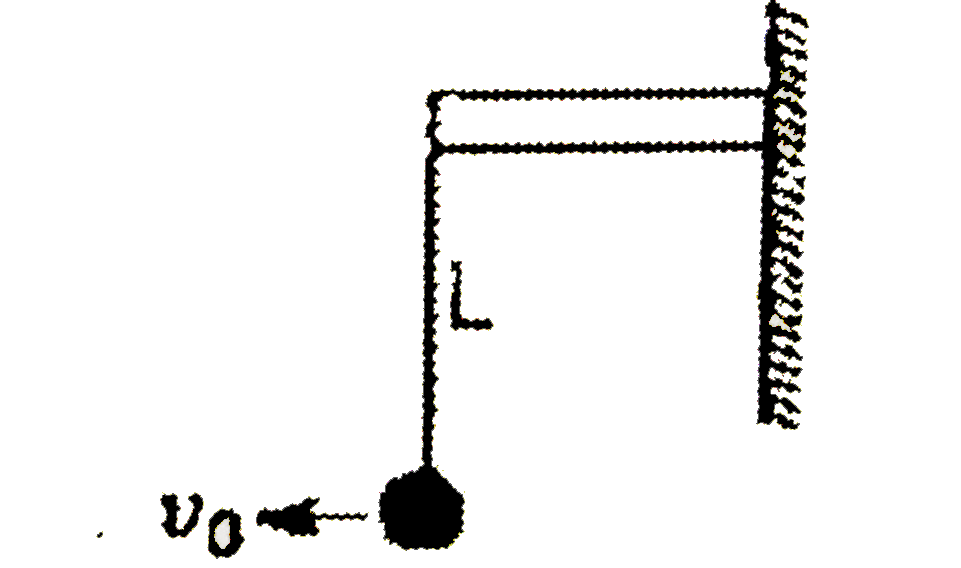 A small ball is hung as shown an a string of length L.   (a) If v(0) gt sqrt(6 g l), find the angle theta ( lt 90^(@)) [in terms of, v(0), g, L] with the upward vertical at which the string becomes slack.   (b) find the value of v(0) [ in terms of g, L] if the particle passes through point of suspension