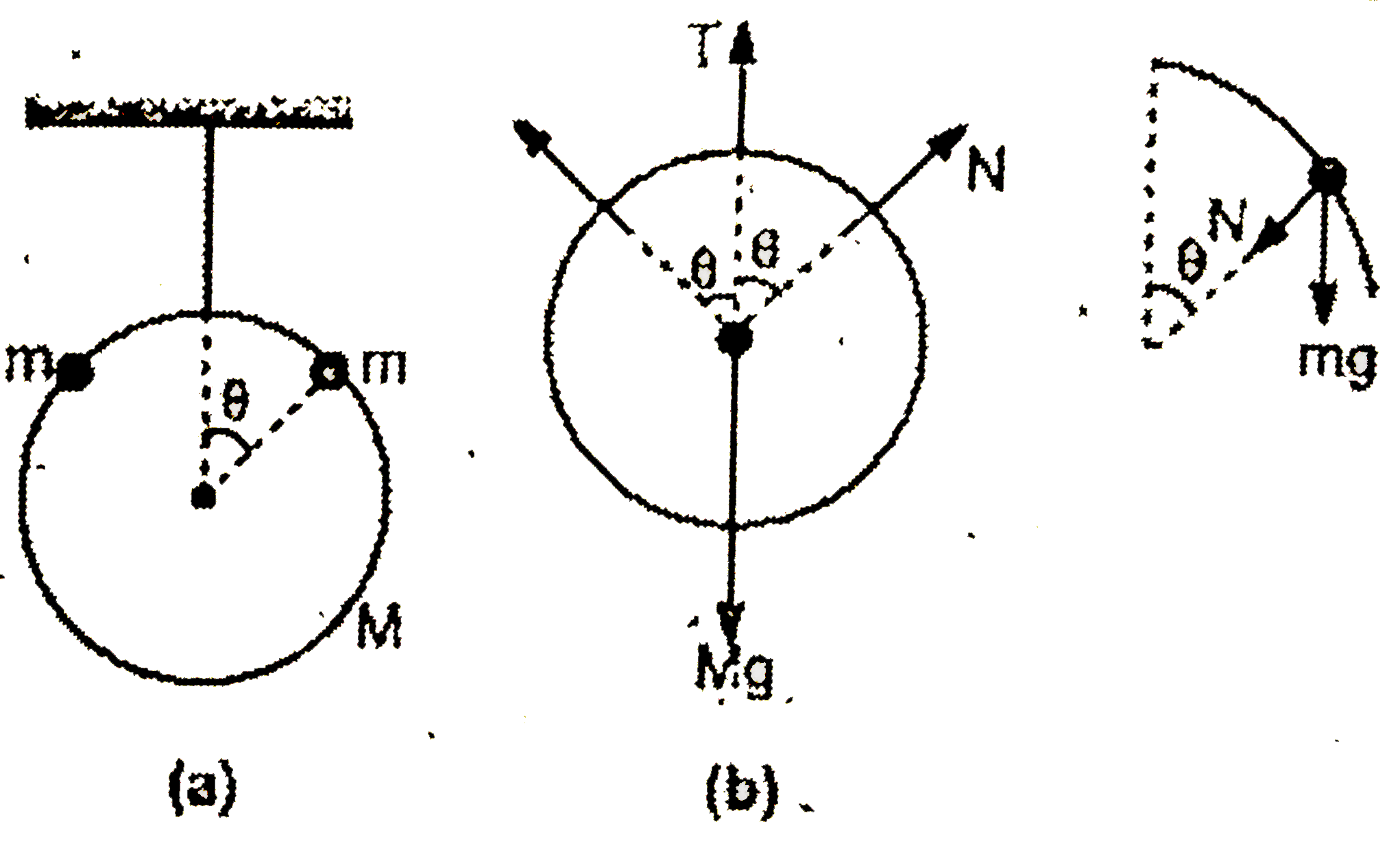 Fig. 3E.47 (a) shows a circular ring of mass M that hangs in a vertical plane. Two beads of mass m are released simultaneously from the top of the ring in opposite directions. There is no frictional force between the bead and the ring. Show that the ring will starts to rise if m gt (3M)/(2). If m = 2M, at what angle theta from vertical this happends ?   (a)