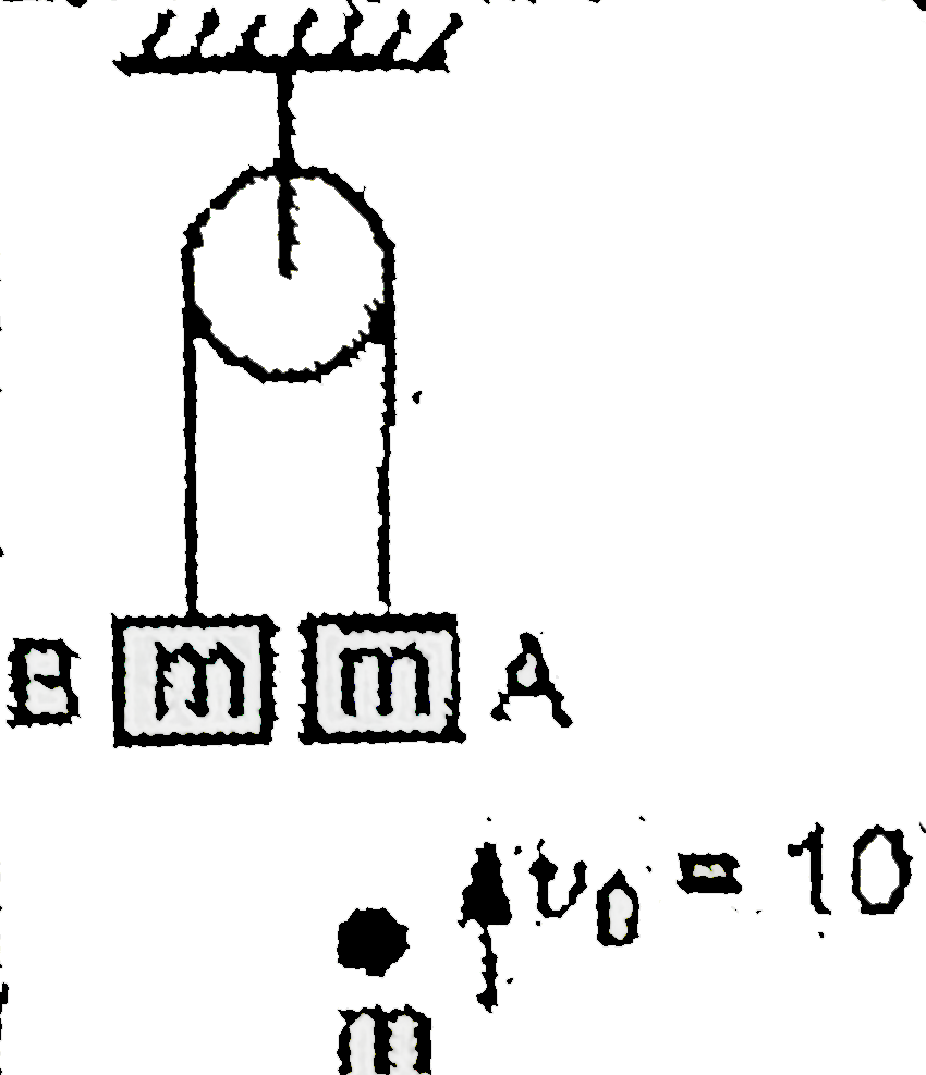 In the shown figure both blocks are in equilibrium m=1 kg. a bullet of mass m moves with velocity 10 m//s and get embedded into the block A, then just after collision :