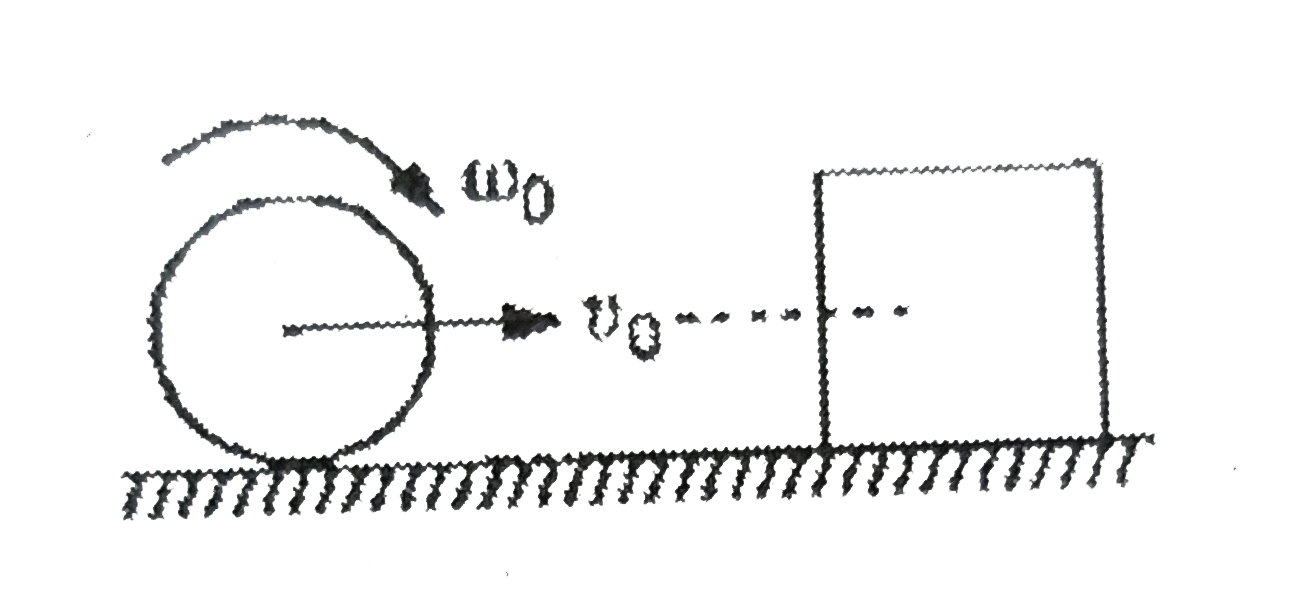 A solid cylinder of mass m rolls on a rough surface with velocity v(0). It collides elastically with a cubical block of same mass at rest. The centre of mass of both the bodies are at same height. Coefficient of friction between horizontal surface and cylinder as well as horizontal surface and cube is mu. No frictional exists between cylinder and cube. The cylinder collides the, cube at t = 0, then.      Regarding frictional force acting on cylinder we can say that: