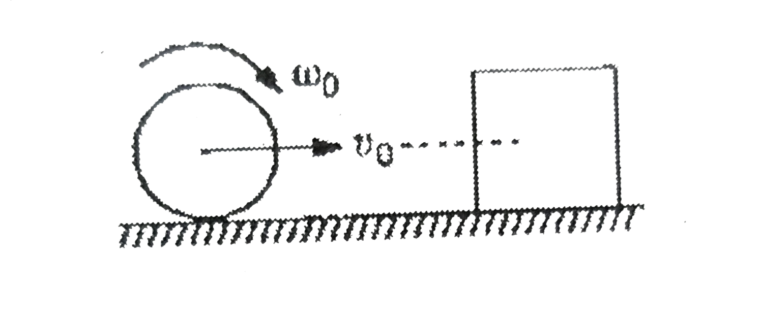 A solid cylinder of mass m rolls on a rough surface with velocity v(0). It collides elastically with a cubical block of same mass at rest. The centre of mass of both the bodies are at same height. Coefficient of friction between horizontal surface and cylinder as well as horizontal surface and cube is mu. No frictional exists between cylinder and cube. The cylinder collides the, cube at t = 0, then.      Time after which the cylinder starts pure rolling again: