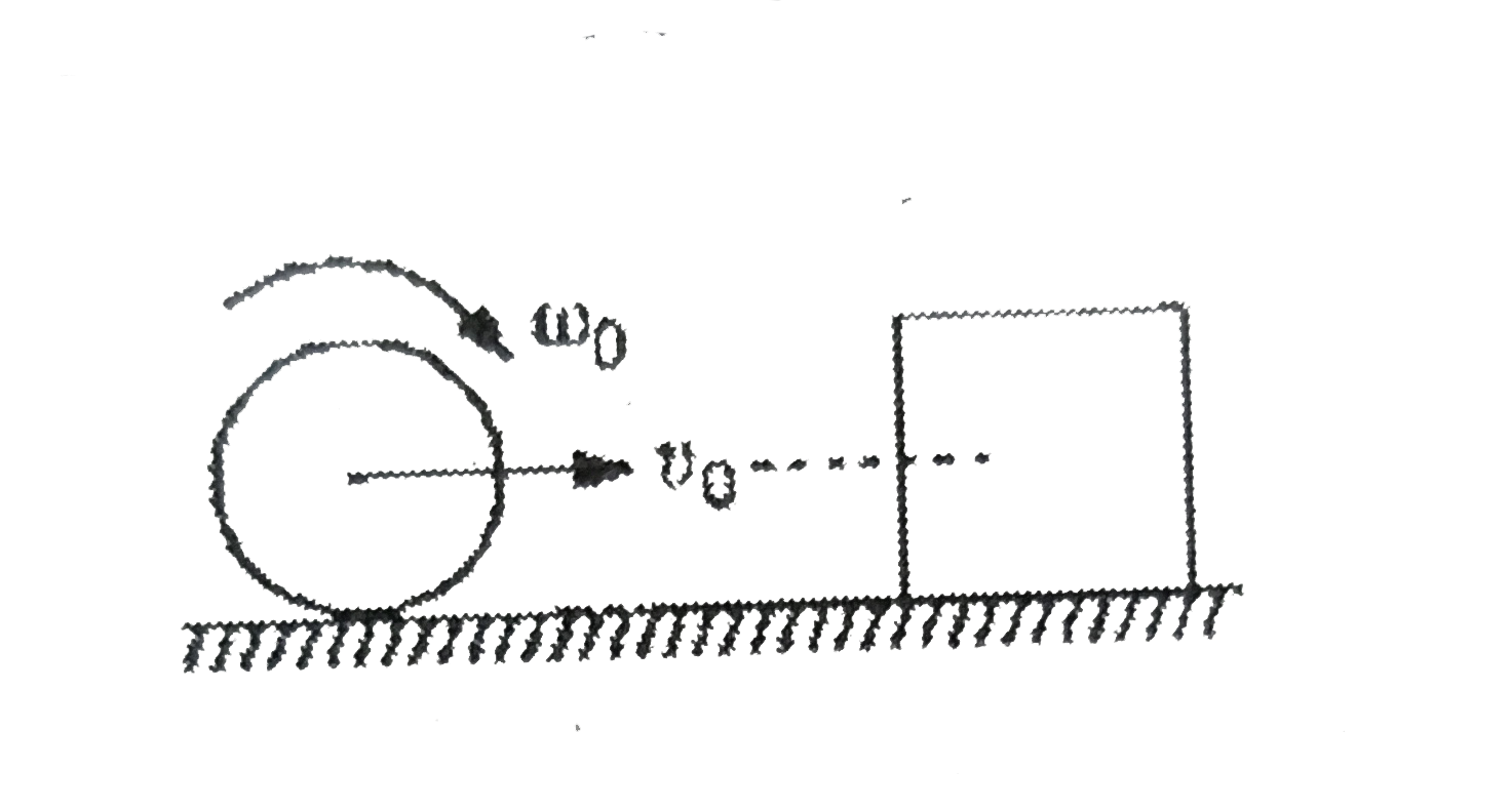 A solid cylinder of mass m rolls on a rough surface with velocity v(0). It collides elastically with a cubical block of same mass at rest. The centre of mass of both the bodies are at same height. Coefficient of friction between horizontal surface and cylinder as well as horizontal surface and cube is mu. No frictional exists between cylinder and cube. The cylinder collides the, cube at t = 0, then.      Velocity of cube when the cylinder starts pure rolling: