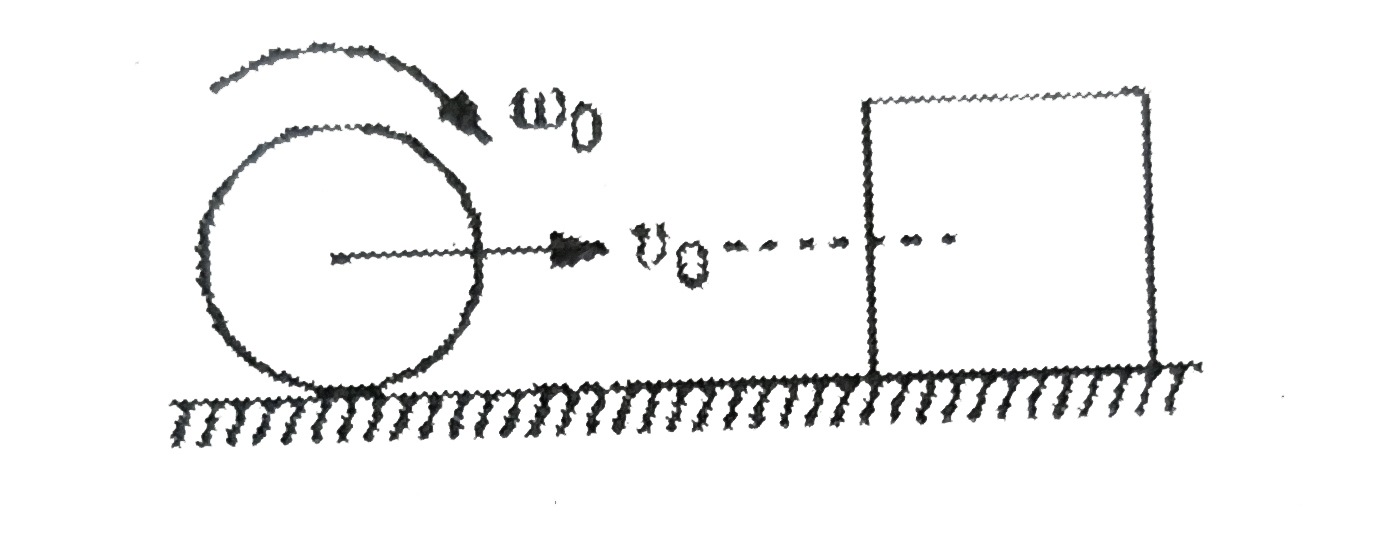 A solid cylinder of mass m rolls on a rough surface with velocity v(0). It collides elastically with a cubical block of same mass at rest. The centre of mass of both the bodies are at same height. Coefficient of friction between horizontal surface and cylinder as well as horizontal surface and cube is mu. No frictional exists between cylinder and cube. The cylinder collides the, cube at t = 0, then.      Maximum separation between cylinder
before it collide the cube again is: