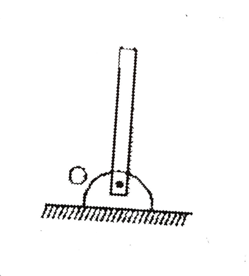 A uniform rod mass m and length L is free to rotate about hinge O. A slight disturbance cause the rod to rotate freely about O and it strikes the ground.      Velocity with which the non-hinged end of rod strikes the surface is: