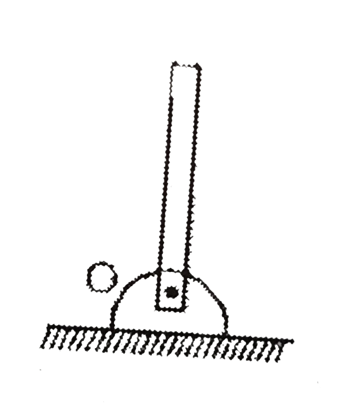 A uniform rod mass m and length L is free to rotate about hinge O. A slight disturbance cause the rod to rotate freely about O and it strikes the ground.      Horizontal force applied on rod by hinge just before the rod hits the surface is: