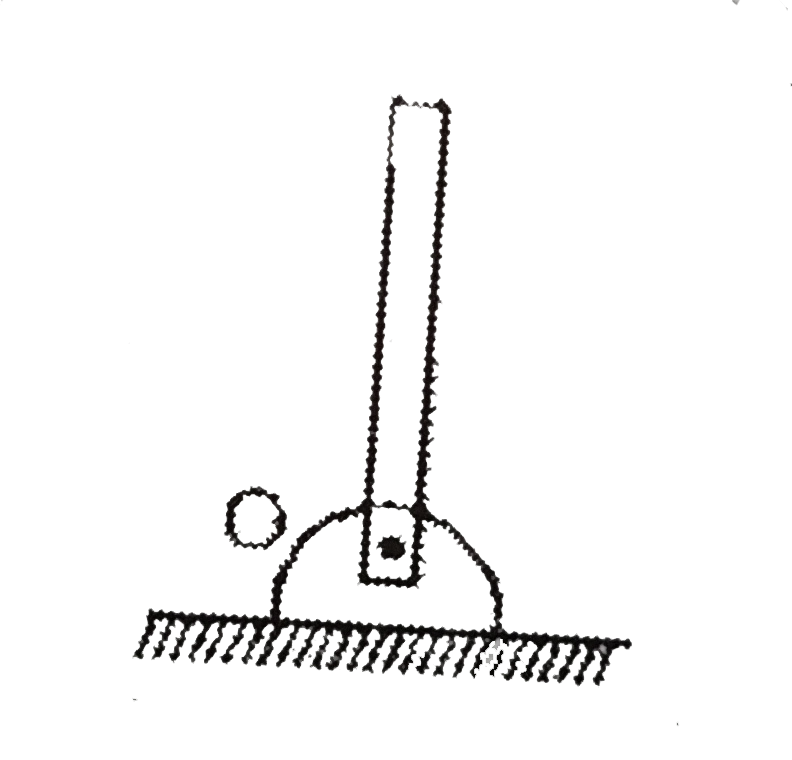 A uniform rod mass m and length L is free to rotate about hinge O. A slight disturbance cause the rod to rotate freely about O and it strikes the ground.      Vertical force applied by hinge on rod at the moment it strikes the ground is: