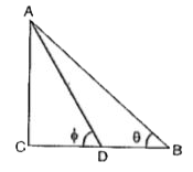 ABC is  right angled triangle, right angled at C . D is the midpoint of BC.  Then , (tan theta)/( tan phi) =