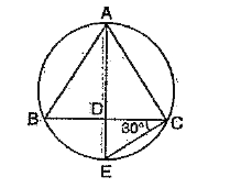 In the given figure, Delta ABC is inscribed in a circle and the bisector of angle A meets BC in D and the circle in E. If angle ECD = 30^(@), what is angle A ?