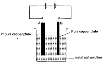 The diagram shows the process of purification of copper metal. A thick copper plate A of impure copper and a thin copper plate B are immersed in a metal sulphate solution and an electric current is passed through it.      What is liberated at the cathode? Explain.