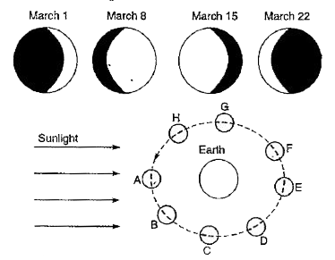 The sketches show the phases of the Moon one week apart. The diagram shows the Moon's orbit around the Earth. Use the diagram and the sketches to answer the questions below:      Approximately when was the Moon full?