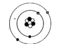 The black circles in the model represent neutrons. What do the white circles represent?
