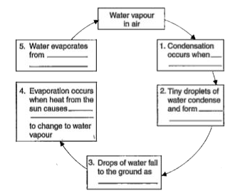 Fill in the blanks in the flow chart to complete the water cycle.