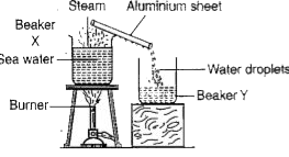 In the given experiment, some sea water was heated in a beaker. After some time, it was observed that the number of water droplets formed on the aluminium sheet become less and less. Why was this so?       (i) The aluminium sheet had become hotter    (ii) The rate of condensation had decreased   (iii) Beaker X had become hotter