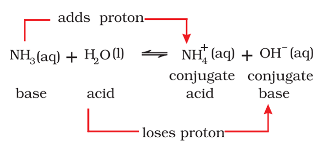 ocr_image