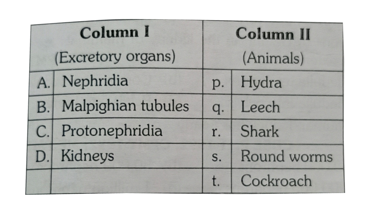 Match the excretory organs listed under column I with the animals given under column. II Choose answer which gives the correct combination of alphabets of the two