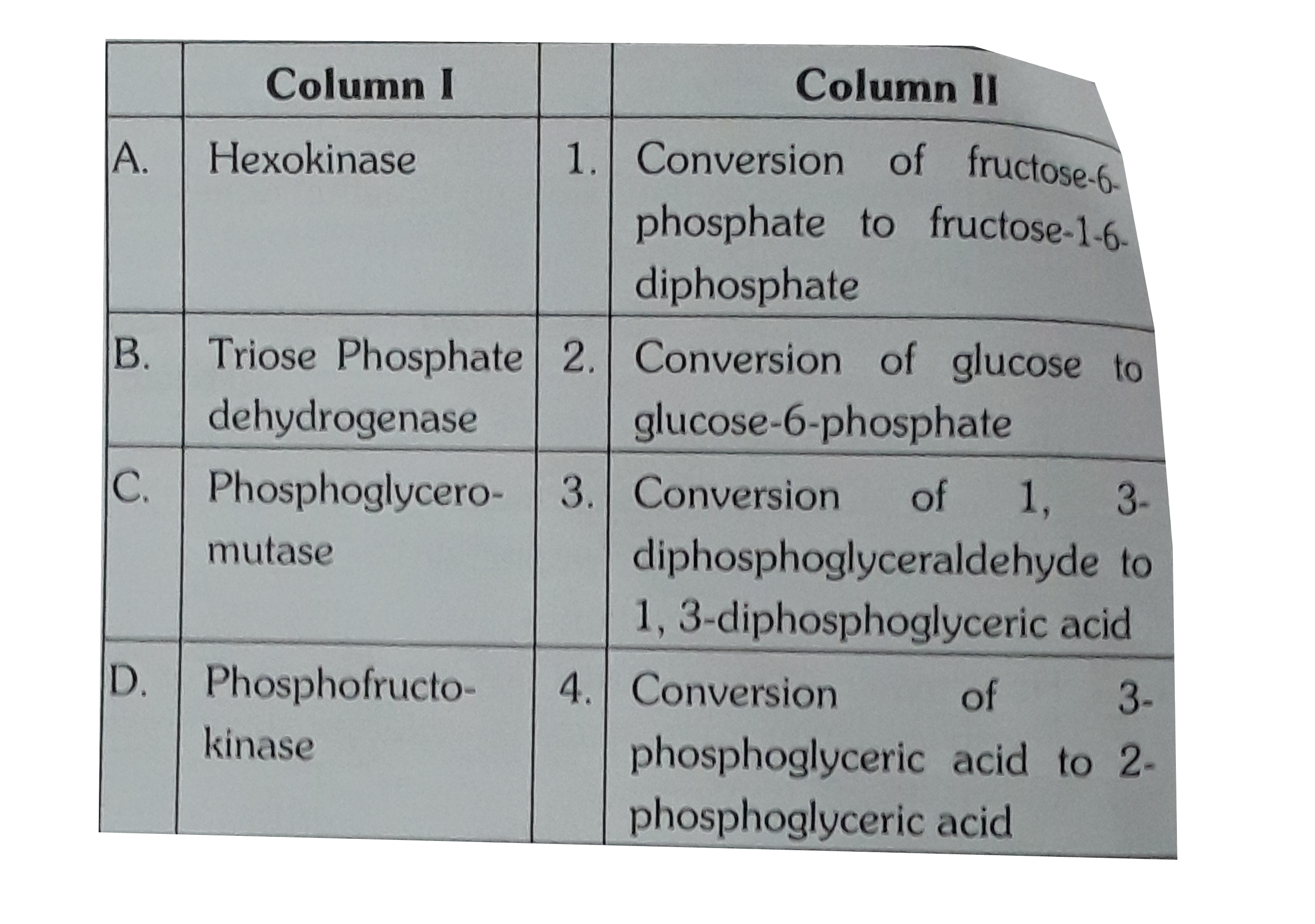 Colum I contains some enzymes and Column II contains reactions, Match them properly and choose the right answer