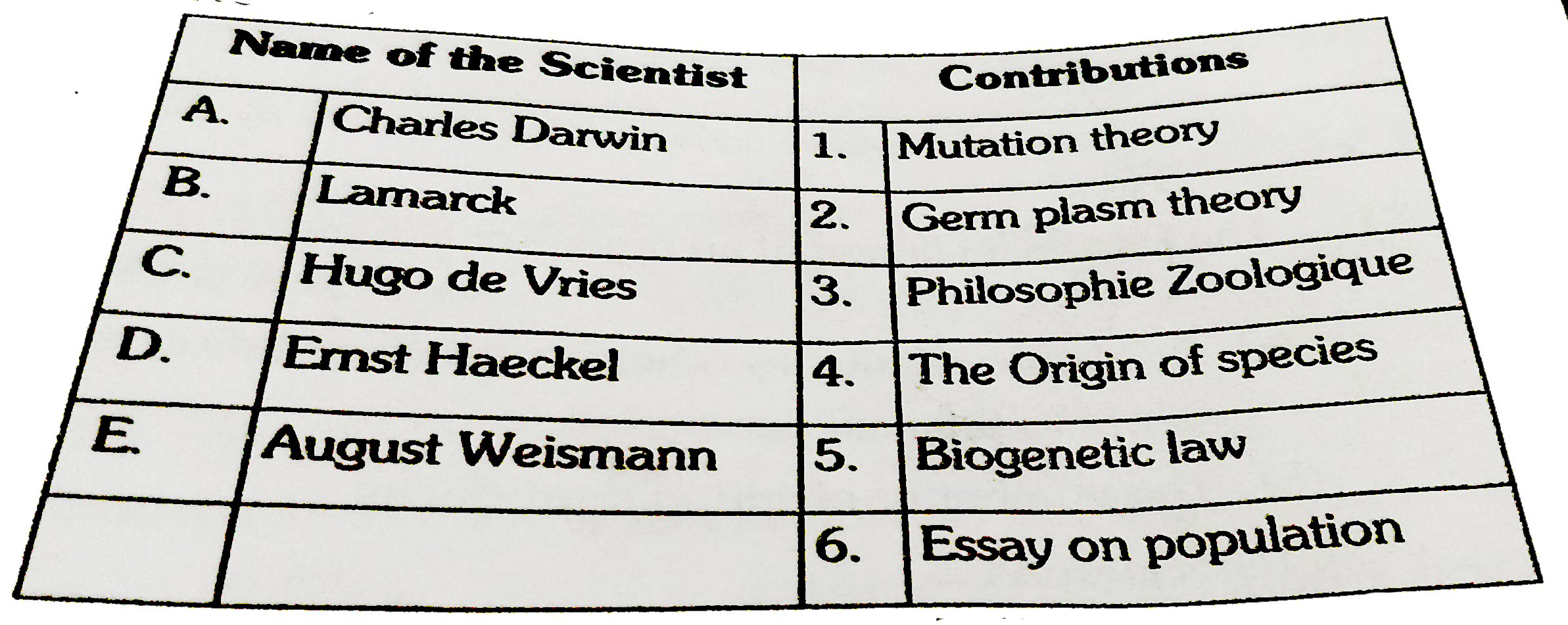 Match the scientists and their contributions in the field of evolution