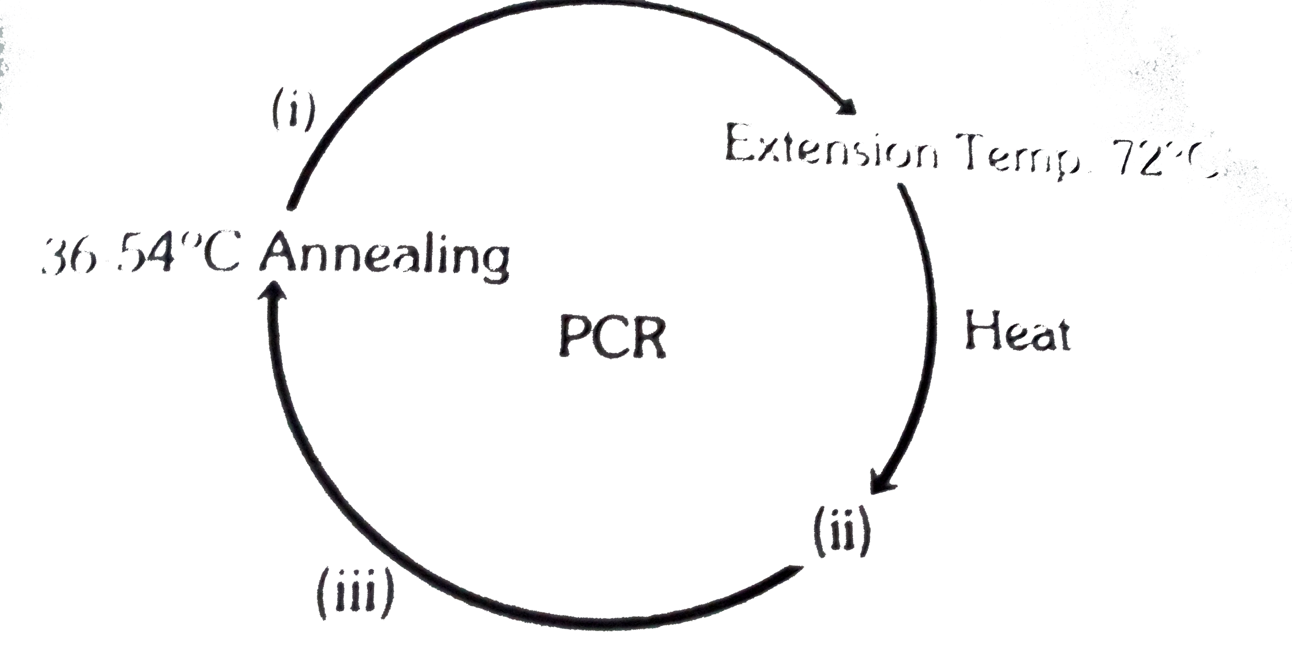 The following cycle refer to the PCR prcess, name the factors or steps indicated with numbers