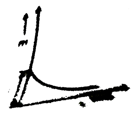 ocr_image