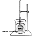 The diagram given below represents an experimental set-up to demonstrate a vital process. Study the same and then answer the questions that follow :      Mention two advantages of this process to the plant.
