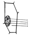 Given alongside is the diagram of a cell as seen under the microscope after being placed in a solution.      What technical term is used for the state/ condition of the cell given ?