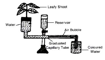 The diagram of an apparatus given below demonstrates a particular process in plants. Study the same and answer the questions that follow :      Name the apparatus.