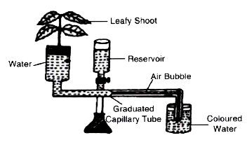 The diagram of an apparatus given below demonstrates a particular process in plants. Study the same and answer the questions that follow :      Which phenomenon is demonstrated by this apparatus?