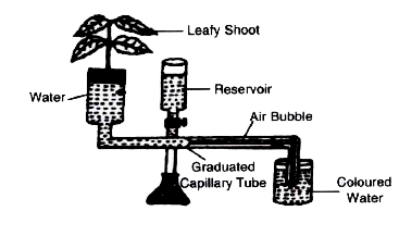 The diagram of an apparatus given below demonstrates a particular process in plants. Study the same and answer the questions that follow :      What is the importance of the air bubble in the experiment ?
