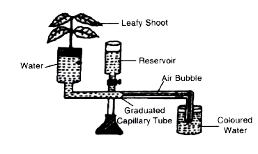 The diagram of an apparatus given below demonstrates a particular process in plants. Study the same and answer the questions that follow :      Name the structures in a plant through which the above process takes place.