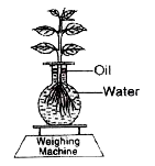 The diagram below represents a process in plants. The setup was placed in bright sunlight. Answer the following questions :      Name the physiological process depicted in the diagram .   Why was oil added to the water?