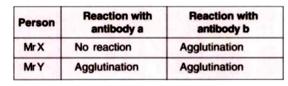 Blood of Mr X and Mr Y was tested to determine their blood group. Their blood samples were mixed with solutions containing either antibody a or antibody b The following table shows the result. Study it and answer the following questions:      Explain why agglutination did not take place when the blood sample of Mr X was mixed with a solution containing antibody a.