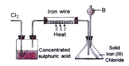 The diagram given below is to prepare Iron (III) chloride in the laboratory      Why is iron(III) chloride to be stored in a closed container?