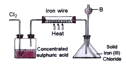 The diagram given below is to prepare Iron (III) chloride in the laboratory      Write the equation for the reaction between iron and chlorine.