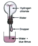 Name the experiment illustrated by the diagram.