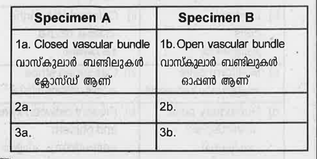 In an anatomy lab,Ramu and Salim were taking transverse sections of two specimens A and B respectively. Their observations are given in the table. Complete the table.