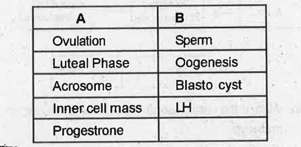 Match the column A and B.   .