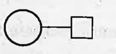 Pedegree analysis is to study human genetics. Here IndIviduals and their relationship are represented by symbols. Identify the  symbols.