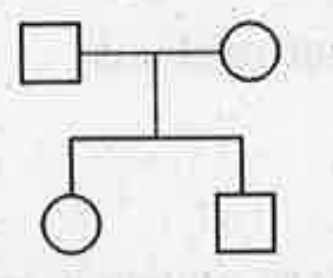 Identify the given symbol used In pedigree charts.