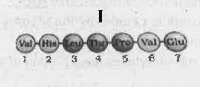 The amino acid Composition of a portion of beta polypeptide chain of haemoglobin Is given.    Identify the beta chain of sickle cell anaemia patient?