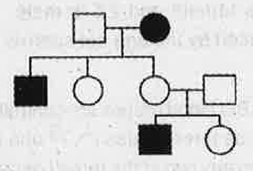 Observe the following pedigree chart   What is the indication of symbols