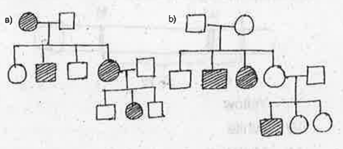 Identify the traits from the pedigree chart. Give one exempla each