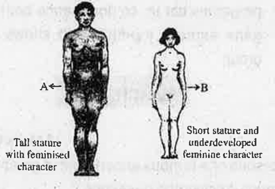 Observe the figures and answer the questions. What is the chromosome number in A and B < br>