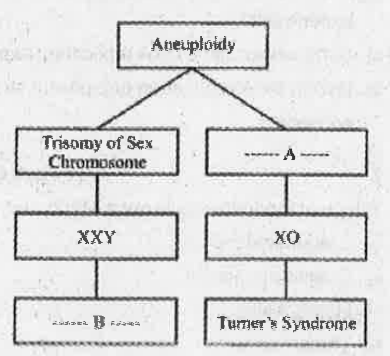 Complete the flow chart of chromosomal disorder by filling the blank boxes (A and B).